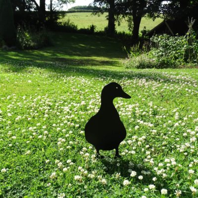 Garden Silhouettes - Front Facing Duck in Black
