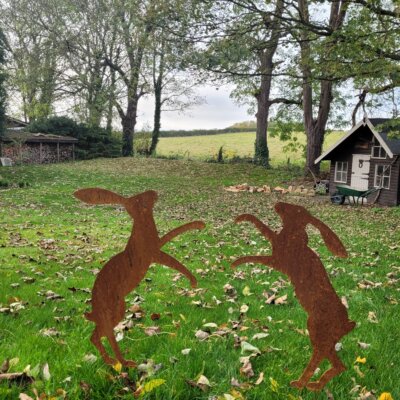 Boxing Hares - Ready to Rust. On Spike.