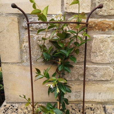 Half Castle Plant Support - Ready to Rust